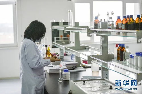 合汽生材 科技賦能飼料業，網絡技術研發引領產業升級